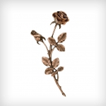O-31960_rosen.jpg O-31960_rosen.jpg