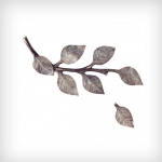 O-20584_re_zweig.jpg O-20584_re_zweig.jpg