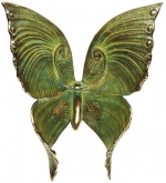 Schmetterling Schmetterling